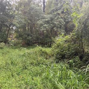 Photo #10 of 1050 Barton, Greensboro, NC 2.8 acres