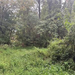 Photo #11 of 1050 Barton, Greensboro, NC 2.8 acres
