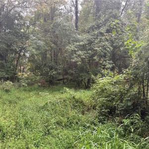 Photo #8 of 1050 Barton, Greensboro, NC 2.8 acres