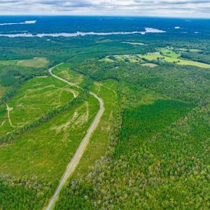 Photo #11 of Lot 16 Stoney Point, Lexington, NC 6.8 acres