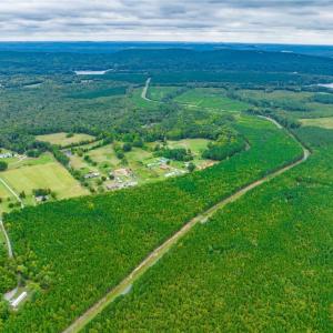 Photo #8 of Lot 16 Stoney Point, Lexington, NC 6.8 acres