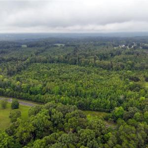 Photo #13 of Grogan, Stoneville, NC 132.8 acres