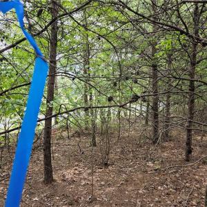 Look for ribbons. Soils evaluation each Track