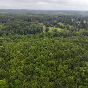 Photo #14 of Grogan, Stoneville, NC 132.8 acres