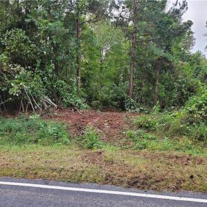 Photo #17 of Grogan, Stoneville, NC 23.8 acres