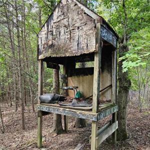 Old Deer Stand
