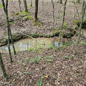 Stream Course