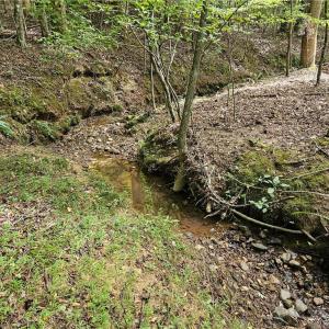 Internal stream
