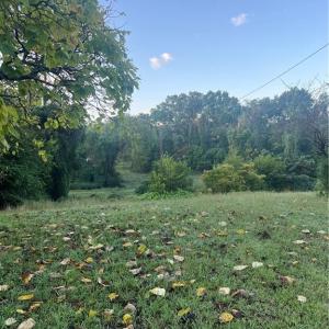 Photo #4 of 1218 Irving, Eden, NC 0.3 acres