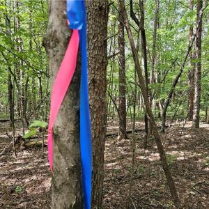 Each soil evaluation is marked