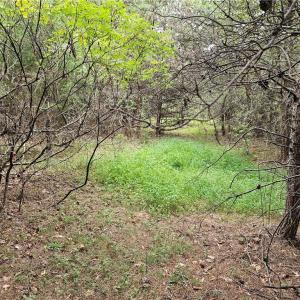Open area
