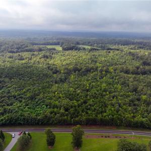 Photo #14 of Grogan, Stoneville, NC 23.0 acres
