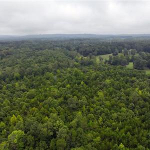 Photo #10 of Grogan, Stoneville, NC 23.0 acres