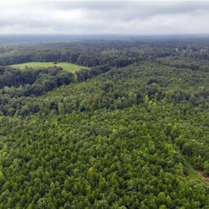 Photo #12 of Grogan, Stoneville, NC 23.4 acres