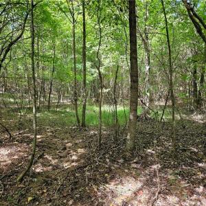 Open Area