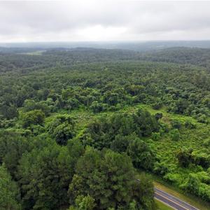 Photo #17 of Grogan, Stoneville, NC 36.4 acres