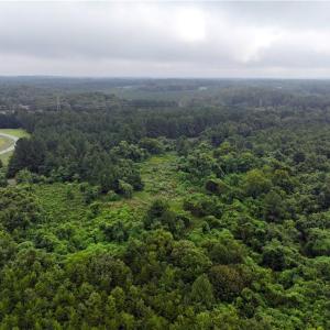 Photo #22 of Grogan, Stoneville, NC 36.4 acres
