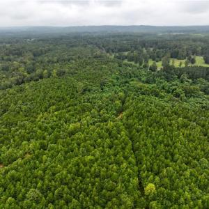 Photo #20 of Grogan, Stoneville, NC 36.4 acres