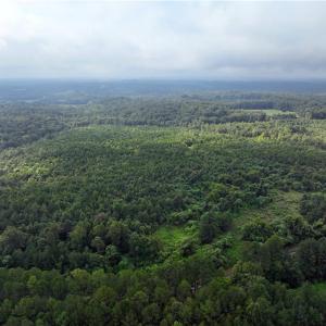 Photo #15 of Grogan, Stoneville, NC 36.4 acres
