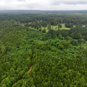 Photo #21 of Grogan, Stoneville, NC 36.4 acres