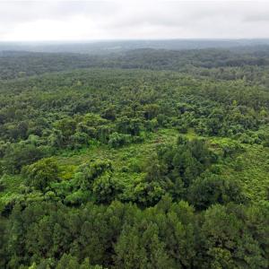 Photo #18 of Grogan, Stoneville, NC 36.4 acres
