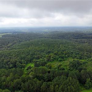 Photo #19 of Grogan, Stoneville, NC 36.4 acres