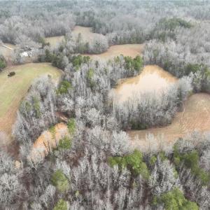 Photo #13 of 6101 Burlington, Gibsonville, NC 45.4 acres