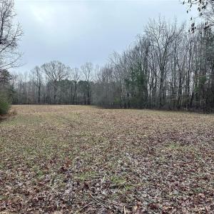 Photo #5 of 6101 Burlington, Gibsonville, NC 45.4 acres