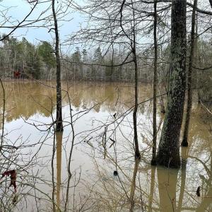 Photo #9 of 6101 Burlington, Gibsonville, NC 45.4 acres