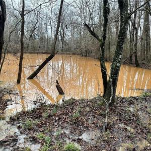 Photo #10 of 6101 Burlington, Gibsonville, NC 45.4 acres