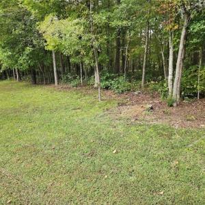 Photo #2 of 2381 Mount Hope Church, Whitsett, NC 2.7 acres