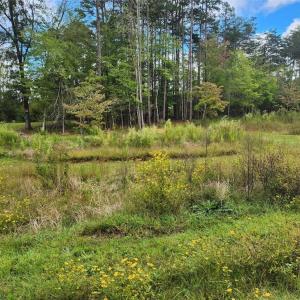 Photo #6 of 2381 Mount Hope Church, Whitsett, NC 2.7 acres
