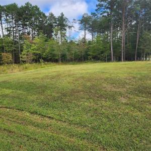 Photo #5 of 2381 Mount Hope Church, Whitsett, NC 2.7 acres