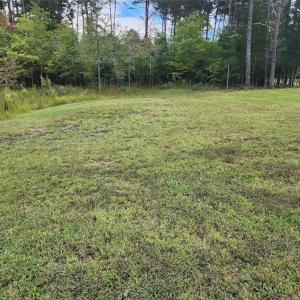 Photo #4 of 2381 Mount Hope Church, Whitsett, NC 2.7 acres