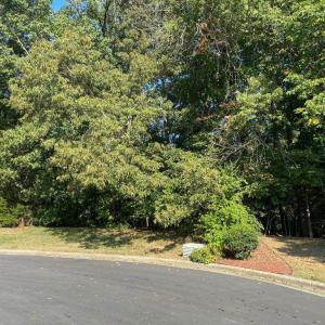 Photo #2 of 6503 Thurlow, Whitsett, NC 0.3 acres