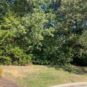 Photo #3 of 6503 Thurlow, Whitsett, NC 0.3 acres