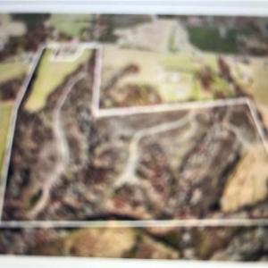 Photo #2 of 11630 US Highway 158, Reidsville, NC 73.6 acres