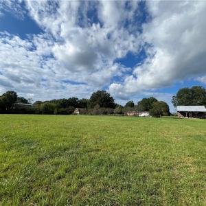 Photo #6 of 11630 US Highway 158, Reidsville, NC 73.6 acres