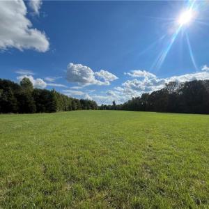 Photo #1 of 11630 US Highway 158, Reidsville, NC 73.6 acres