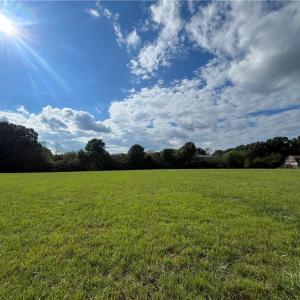 Photo #5 of 11630 US Highway 158, Reidsville, NC 73.6 acres