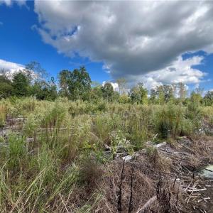 Photo #9 of 11630 US Highway 158, Reidsville, NC 73.6 acres