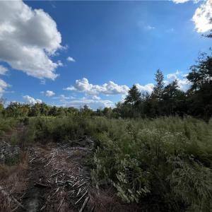 Photo #10 of 11630 US Highway 158, Reidsville, NC 73.6 acres