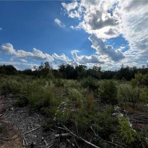 Photo #15 of 11630 US Highway 158, Reidsville, NC 73.6 acres