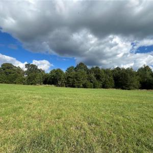Photo #4 of 11630 US Highway 158, Reidsville, NC 73.6 acres