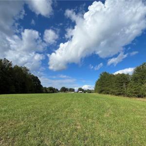 Photo #8 of 11630 US Highway 158, Reidsville, NC 73.6 acres