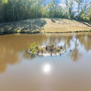 Small Island in pond
