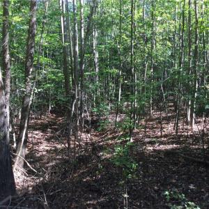 Photo #6 of 00 & 000 Terrell, Mebane, NC 13.8 acres
