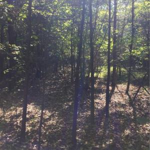 Photo #7 of 00 & 000 Terrell, Mebane, NC 13.8 acres