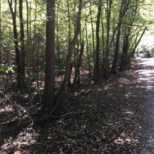 Photo #3 of 00 & 000 Terrell, Mebane, NC 13.8 acres