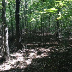 Photo #5 of 00 & 000 Terrell, Mebane, NC 13.8 acres